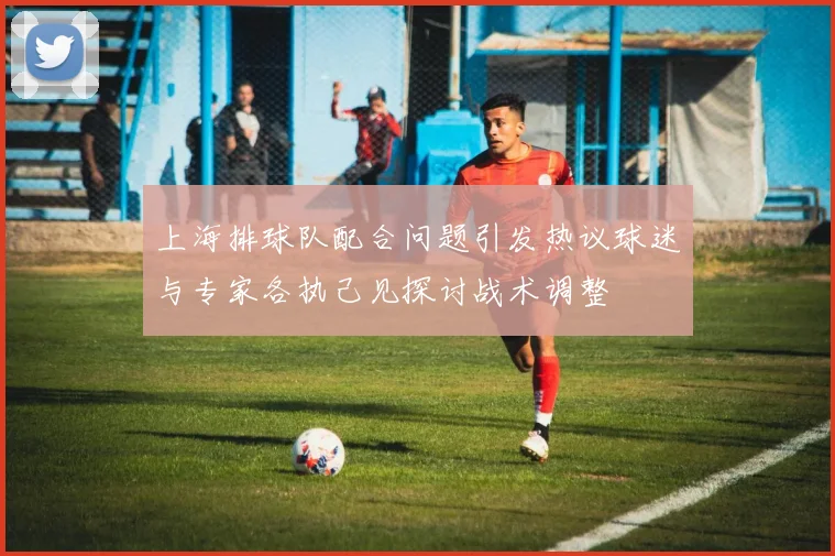 上海排球队配合问题引发热议球迷与专家各执己见探讨战术调整