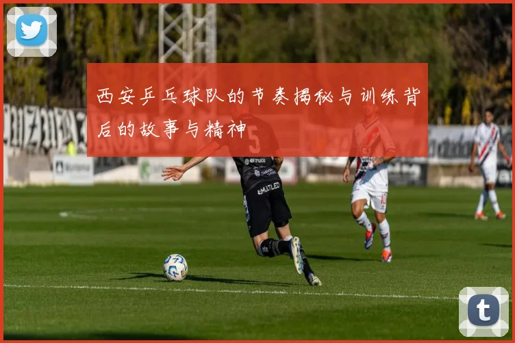 西安乒乓球队的节奏揭秘与训练背后的故事与精神