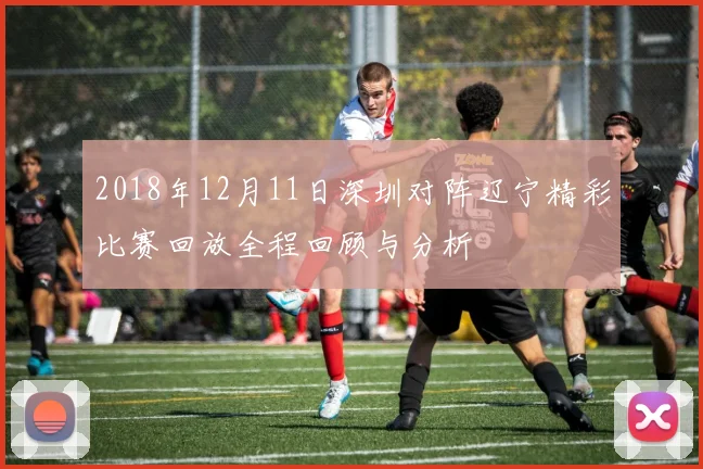 2018年12月11日深圳对阵辽宁精彩比赛回放全程回顾与分析